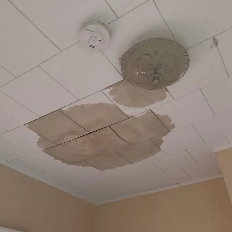 Ceiling Water Damage Repair in Edgard, LA