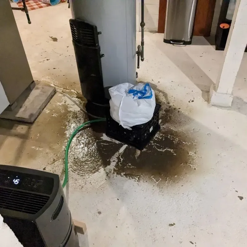 Sewage Backup Cleanup Service in Edgard, LA
